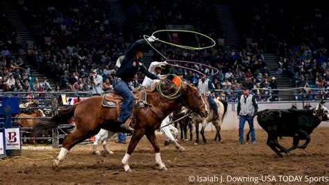 Colorado stock show - National Western Stock Show ends with top 10 attendance. Watch on. 117th 2023 National Western Stock Show and Rodeo Denver, Colorado: Information, tickets, …